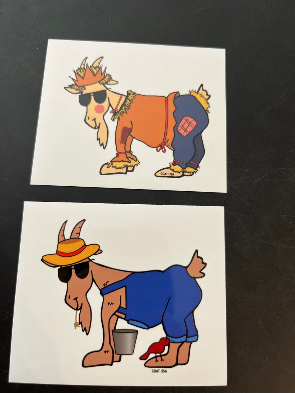 GOAT USA sticker rare from monthly subscription